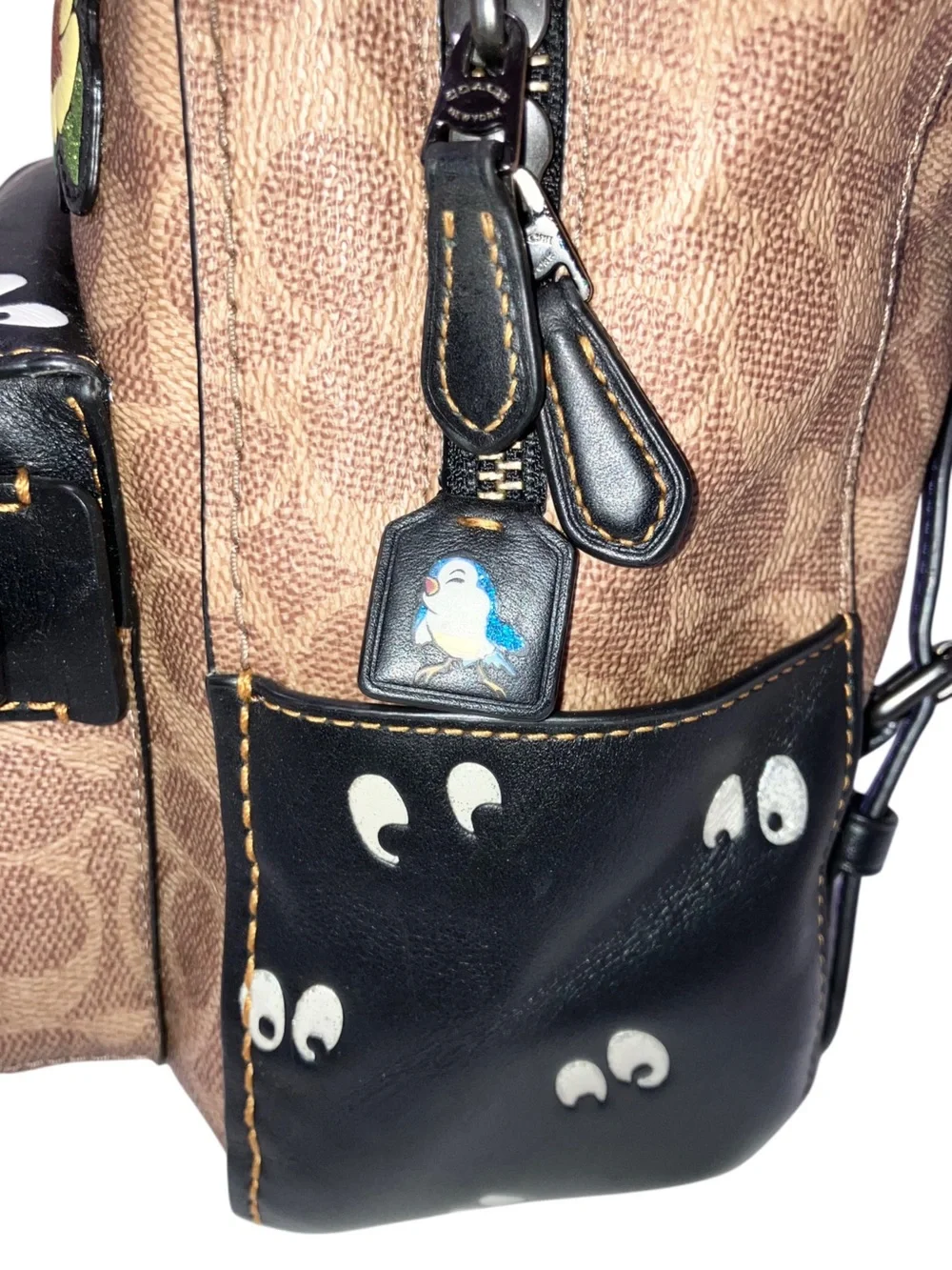 Coach disney limited
